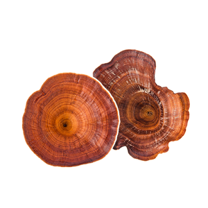 Hữu Cơ/ISO/Halal/Kosher/BRC Chứng Nhận Lingzhi 30% Polysacchardies Hữu Cơ Reishi Nấm Chiết Xuất Bột - Product Image 5