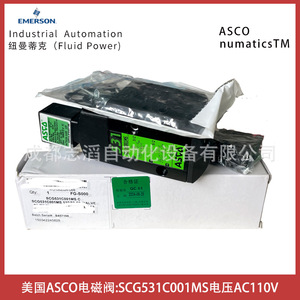 Válvula Solenoide Asco SCG531C001MS AC 110 V de Uso General - Product Image 1