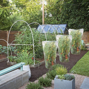 Sac en <span class=keywords><strong>filet</strong></span> pliable en HDPE écologique avec protection anti-insectes UV pour la protection des palmiers dattiers - Product Image 5