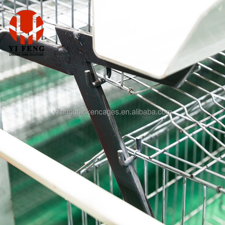 chicken cage for 200 chicken layer