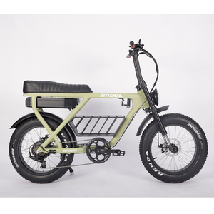 Super Power Vintage 52V 1000W 73 Model Dual Motor Bike Fatbike ATV08 Super 73 ATV08 - Product Image 1