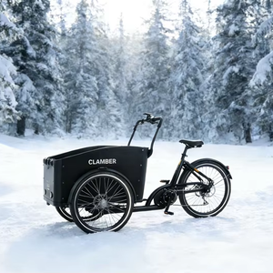 Vélo cargo électrique, entrepôt européen, tricycle familial néerlandais à 3 roues, 250W, moteur sans balais, cadre en acier, frein à disque, Lastenrad - Product Image 1
