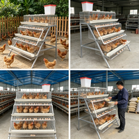 Cage à poules pondeuses galvanisée de type D à 48 cellules, équipement avicole peu encombrant, cages à œufs durables pour usage agricole