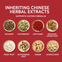 Patch de Moxibustion Personnalisé en Usine, Authentique Qiai Mugwort, Auto-Chauffant pour Épaules, Cou, Taille, Relaxation Quotidienne, Soin Thermique Corporel