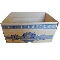 Emballage en carton ondulé en gros, 5 kg, robuste, écologique, en matériaux recyclés, doublé d'éponge, pour fruits et légumes