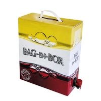Sac de conditionnement liquide en plastique personnalisé de 2L, 3L, 5L, 10L pour vin et jus, avec valve