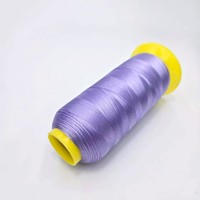 %100 Polyester Filament Nakış İpliği 108D/2 Yüksek Dayanıklılık Makine Nakışı ve Tığ İşi Dikişi için - AUDIS Marka Mor