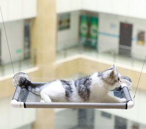 Cat Resting Seat Perch Window Hammock <span class=keywords><strong>Cats</strong></span> Kitty Safety <span class=keywords><strong>Bed</strong></span>とDurable Heavy Duty Suction Cups Cat <span class=keywords><strong>Bed</strong></span> HoldsにUp 18KG - Product Image 3