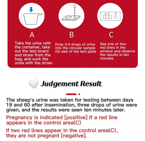 Great-Farm – bandelettes de <span class=keywords><strong>Test</strong></span> de grossesse HCG pour chèvre mouton, bandelettes de <span class=keywords><strong>test</strong></span> de grossesse pour chèvre vétérinaire - Product Image 5