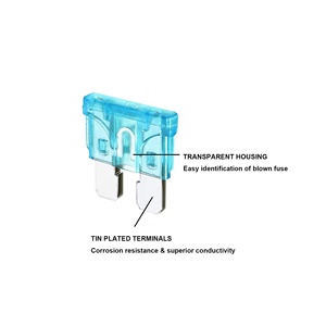 250 pcs loại lưỡi dao loại ô tô tiêu chuẩn kích thước nhỏ nhựa 250V cầu chì thay thế xe cầu chì Kit cho - Product Image 2