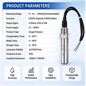 Sensor de Nivel de Agua Sumergible Confiable para Barcos, Acero Inoxidable 316L, 4-20mA, Rango Personalizado, Sensor de Nivel Marino IP65 - Product Image 6