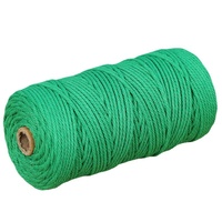 Fil acrylique coloré teint de 3 à 4 mm d'épaisseur, mélange de fils pour tissage manuel DIY, cordons de fixation, corde en coton, textile