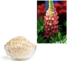 ผงโปรตีนลูปินเกรดอาหาร 60% 70% โปรตีน ปราศจาก GMO โปรตีนจากพืช สำหรับเบเกอรี่ ขนมปัง และส่วนผสมอาหารคีโต - Product Image 2