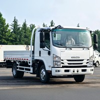 Camionnette Isuzu 700P d'occasion, 10 tonnes, 4x2, pour livraison urbaine