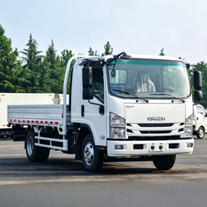 Camión de Caja Isuzu 700P de 10 Toneladas 4x2 de <span class=keywords><strong>Segunda</strong></span> <span class=keywords><strong>Mano</strong></span> para Entrega Urbana - Product Image 3