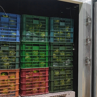 Mango En Fruit Warm Water En Damp Warmtebehandeling Machine Vht Systeem