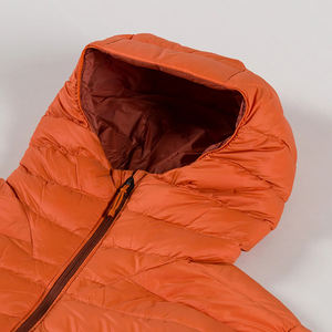 Chaqueta de Plumón Ligera para Hombre, Corte Entallado, Plumón de Ganso Gris, Tejido Impermeable, Cierre de Cremallera, Estilo Elegante para Oficina - Product Image 4