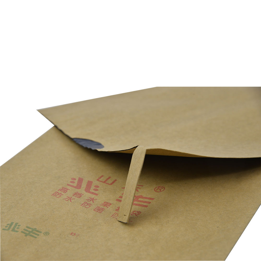 Fruta de protección bolsa de papel para guayaba de mango de uva