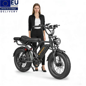 จักรยานไฟฟ้า EU Warehouse 48V 20Ah ระยะทางไกล 80 กม. กำลังไฟ 250W รุ่น BK20 พร้อมยางขนาด 20 นิ้ว - Product Image 1
