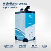 Batterie de drone personnalisée 22000mah 24000mah 4000mah 12S 44.4V Lipo, batterie UAV pour grands drones