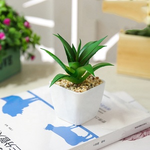 Mini nhựa mọng nước trong nồi nhựa mini mọng nước nhân tạo thực vật - Product Image 6