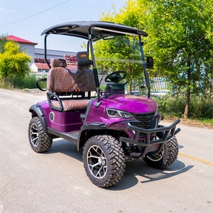 Voiture <span class=keywords><strong>de</strong></span> <span class=keywords><strong>golf</strong></span> électrique 4 places, couleur personnalisée, 72V, longue autonomie, sièges arrière pliables, pour sites touristiques - Product Image 1
