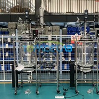 Réacteur filtrant en verre à double couche Topacelab 10l 20l 50L 100L 100L avec conception à enveloppe pour les réactions de séparation solide-liquide