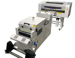 Geavanceerde Technologie Aangepast Direct Naar Film 30Cm Xp600 Dtf Printer A3 Met Poeder Spuitmachine
