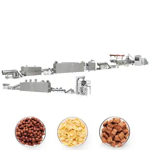 Manufacturing plant corn flakes snack food grain product making machines