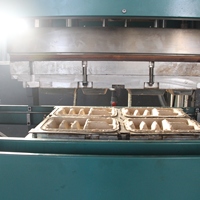 Machine de fabrication de boîtes à emporter en pulpe de bagasse de canne à sucre, entièrement automatique