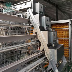 Sistema di Gabbie Automatiche Tipo A Zincate HIGHTOP per Allevamento di Galline Ovaiole - Product Image 4