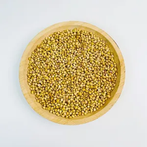 wholesale Yellow Dried coriander seeds whole Tea for food cooking