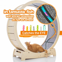 Roue pour chat, tapis roulant pour chat, roue d'exercice pour courir, tourner, gratter et grimper pour chats d'intérieur, bois de bouleau de qualité supérieure