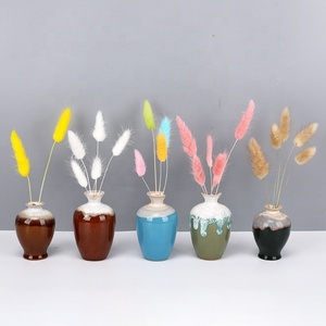 Fourniture d'usine Prix attractif Queue de lapin Herbe Bundle Fleur séchée Diverses couleurs <span class=keywords><strong>Lagurus</strong></span> Ovatus Queue de lapin Herbe - Product Image 3