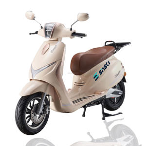 Motocicleta Eléctrica con Certificado EEC COC, Legalmente Registrada en Países Europeos, Scooter Eléctrico en Venta, Gran Éxito de Ventas en Europa - Product Image 3