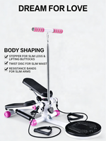 Appareil de fitness à domicile CE/FCC, stepper aérobique avec poignée et compteur, mini stepper silencieux pour couple, pour la perte de poids et l'amincissement des jambes