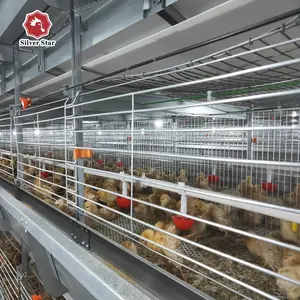 Poultry House Design Battery H Type Broiler Chicken Raising Cage