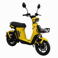 Scooter électrique 48V 800W, 50 km/h, pneus sans chambre à air, cyclomoteur pour trajets quotidiens, mobilité urbaine