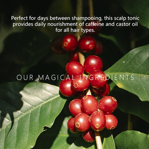 Aceite Capilar Nutritivo <span class=keywords><strong>de</strong></span> Marca Blanca con Cafeína Reparadora, Aceites <span class=keywords><strong>de</strong></span> Árbol <span class=keywords><strong>de</strong></span> Té y Coco, Tónico Capilar Hidratante con Queratina para Mujer - Product Image 4