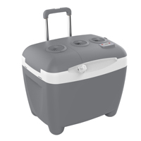 Chine usine 50L grande capacité Mini voiture réfrigérateurs refroidisseur électrique et boîte plus chaude 12VDC 220V AC maison roues poignée Camping réfrigérateur