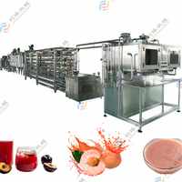 Ligne de production de concentré de confiture de pulpe de machine de jus de traitement de pêche/abricot/prune haute efficacité remplissage aseptique de tambour