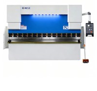 Presse plieuse CNC à structure à barre de torsion BEKE WC67K 100T3200 E21 à positionnement rapide du repose-pied pour l'acier inoxydable