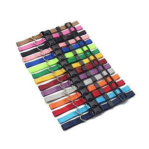 Collier pour chien Kingtale Collier pour chien en nylon de couleur unie de base Collari réglable canne cuccioli - Product Image 1