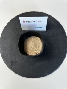 สารสกัดจากสาร nutraceutical poolzyme Keto ของอิตาลีผสมโปรตีเอสแอซิดโปรตีเอสและไลเปสสำหรับการส่งออก - Product Image 3