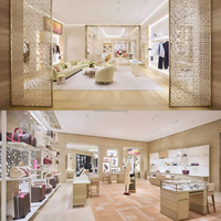 Vitrine de présentation pour magasin de bijoux, étagère, comptoir, solution de conception pour l'ensemble du magasin, boutiques, centre commercial