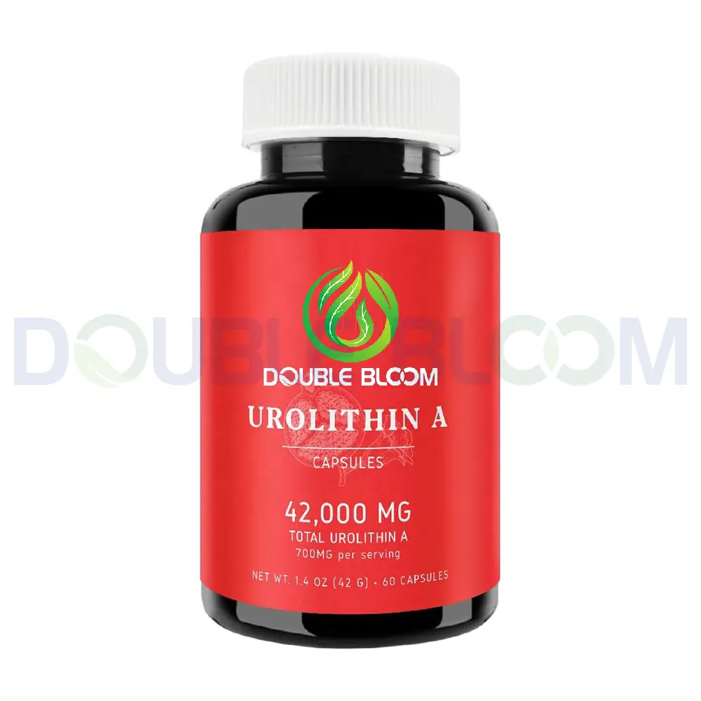 यूरोलिथिन ए कैप्सूल। बुढ़ापा रोधी और सेलुलर स्वास्थ्य के लिए सबसे अधिक बिकने वाला यूरोलिथिन एक पाउडर 98% यूरोलिथिन ए कैप्सूल