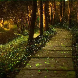 Lámpara de proyección láser de luciérnaga dinámica a todo color para iluminación de ambiente romántico al aire libre iluminación de césped al aire libre - Product Image 1