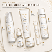 Kit de Soins Visage OEM à l'Extrait de Riz Alpha Arbutine Céramide Squalane Éclaircissant Anti-Âge Hydratant – Vente Directe Usine