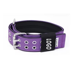 Proveedor superventas hebilla de acero inoxidable caucho de cloropreno cojín interior ajustable nylon táctico <span class=keywords><strong>collar</strong></span> de perro mascota - Product Image 3