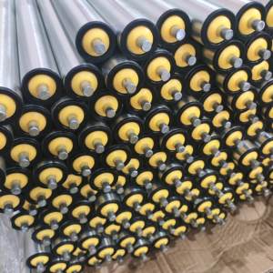 Rouleau de convoyeur OD 38mm 50mm 60mm Sièges de roulement en plastique Rouleau de gravité - Product Image 5